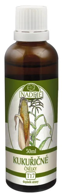 Kukuřice setá (T17)
