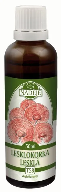Lesklokorka lesklá (T58)