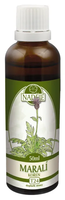 LEUZEA - Maralí kořen (T24)