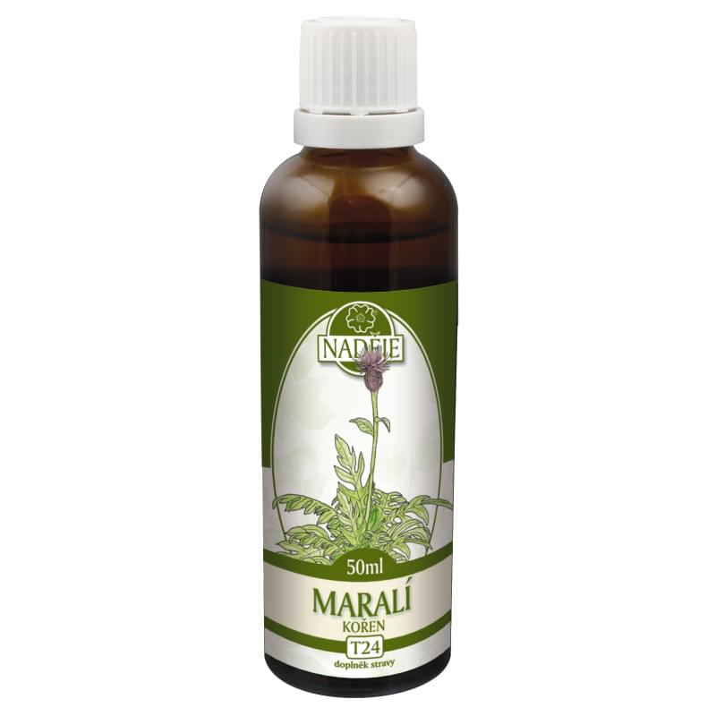 T24 Leuzea (Marali koren)