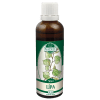 lipa-podhorna.jpg lipa-podhorna.jpg