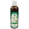 lipa-podhorna.jpg lipa-podhorna.jpg