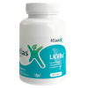 LKVB6 LKVB6