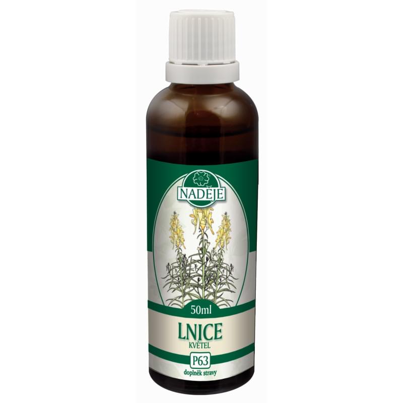 Lnice květel Lnice květel