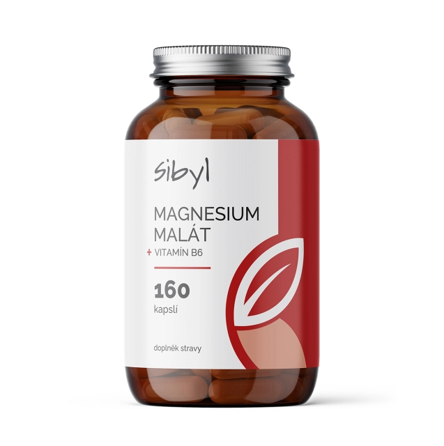 Sibyl Magnesium malát SIBYL + B6 160 cps