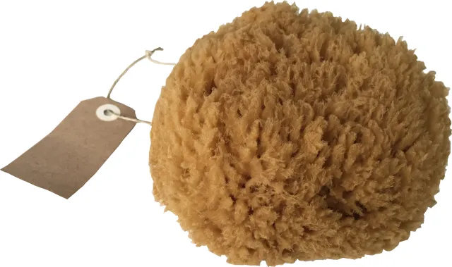 La Corvette Mořská houba na mytí 1 ks