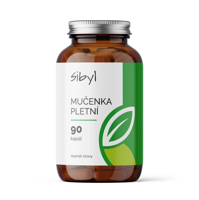 Sibyl Mučenka pletní 90 cps