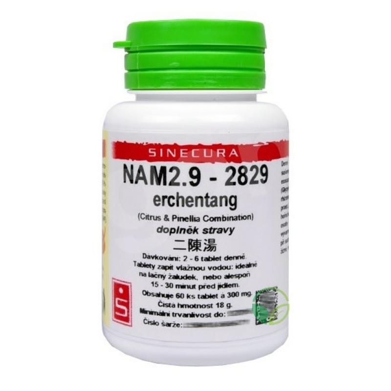 NAM 2.9