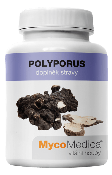 Polyporus-mycomedica