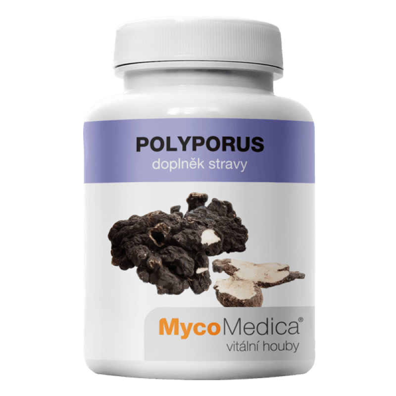 Polyporus-mycomedica Polyporus-mycomedica