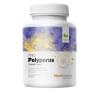 Polyporus PRO