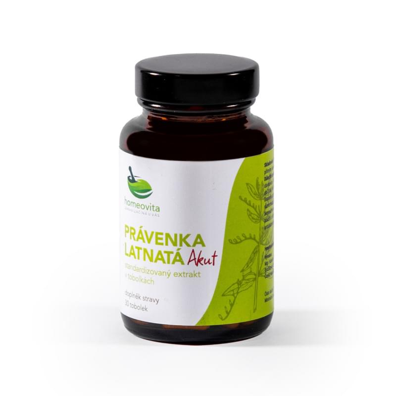Právenka-latnata-akut