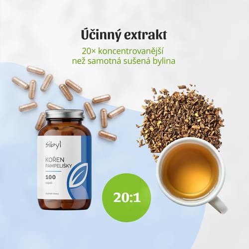 prirodni_lekarna_koren_pampelisky_2