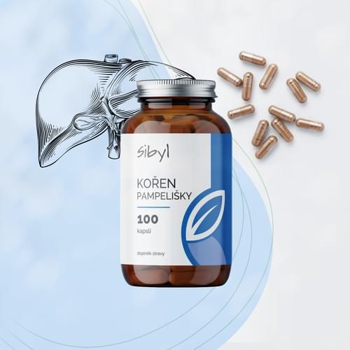 prirodni_lekarna_koren_pampelisky_3