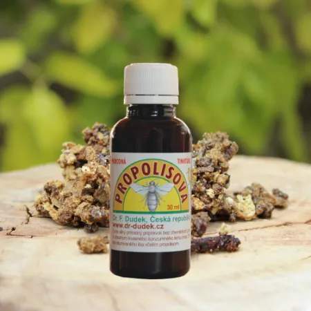 DR.DUDEK Propolisová tinktura přírodní 30ml koupíte na PřírodníLékárna.cz
