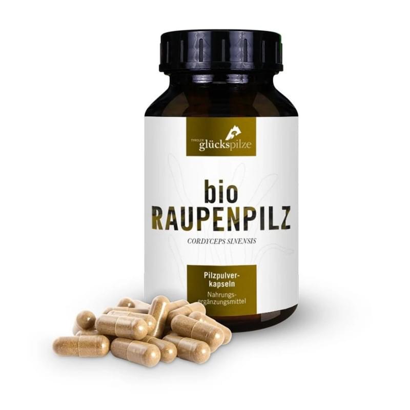 raupenpilz-cordyceps-houbicky