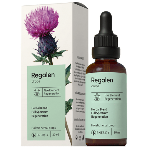 Regalen Energy