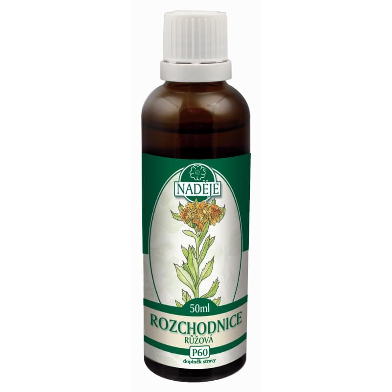 Rozchodnice růžová - zlatý kořen - Rhodiola rosea