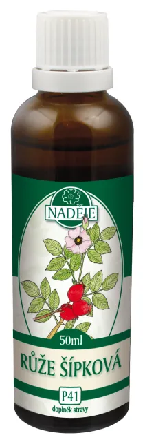 Růže šípková (P41)