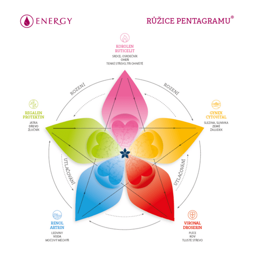 růžice pentagramu