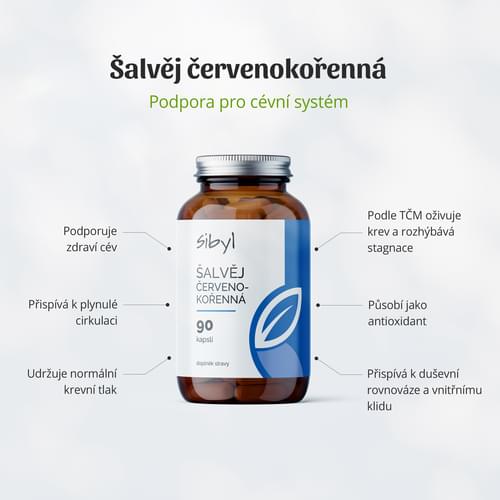 šalvěj červenokořenná