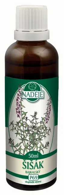 Šišák bajkalský (P69)