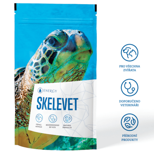 Skelevet Energy 2