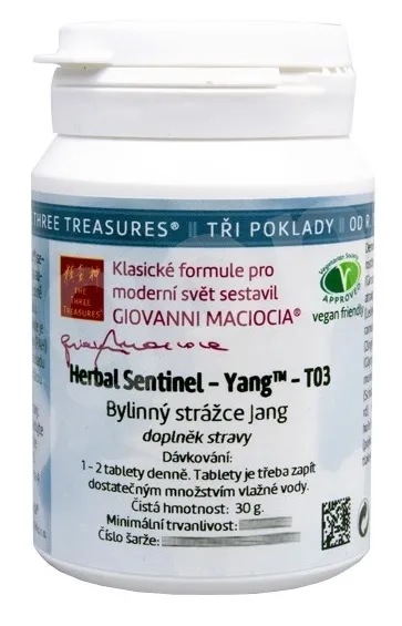 Giovanni maciocia - T04 Bylinný strážce jin 60 tbl