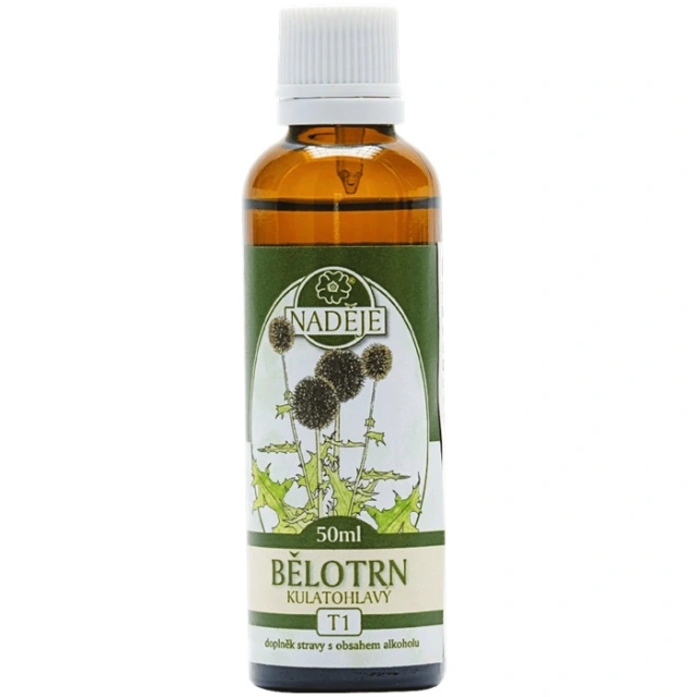 Bělotrn kulatohlavý (T1)