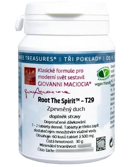 Giovanni Maciocia - T29 - Zpevněný duch 60 tbl