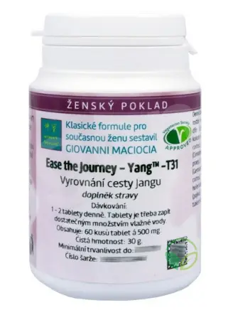 Giovanni maciocia - T31 Vyrovnání cesty Jangu 60 tbl