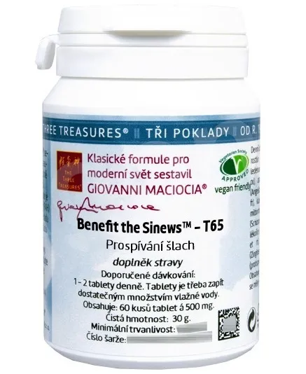 Giovanni Maciocia - T65 - Prospívání šlach 60 tbl