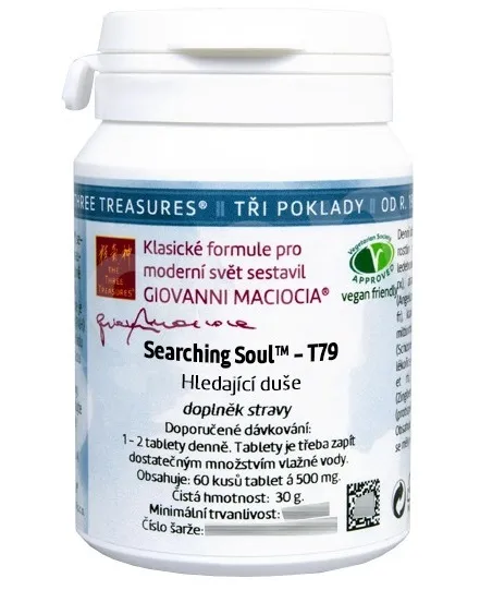 Giovanni Maciocia - T79 - Hledající duše 60 tbl