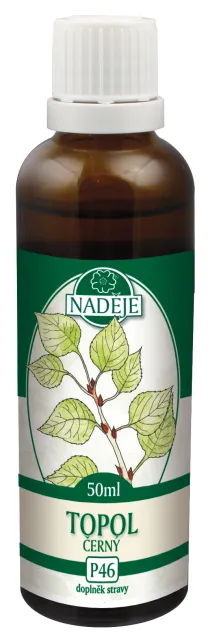 Topol černý (P46)