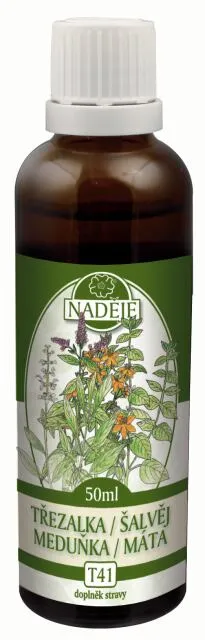 Třezalka / Šalvěj / Meduňka / Máta (T41)