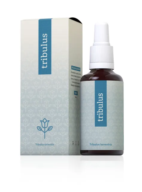 Energy Tribulus terrestris 30 ml