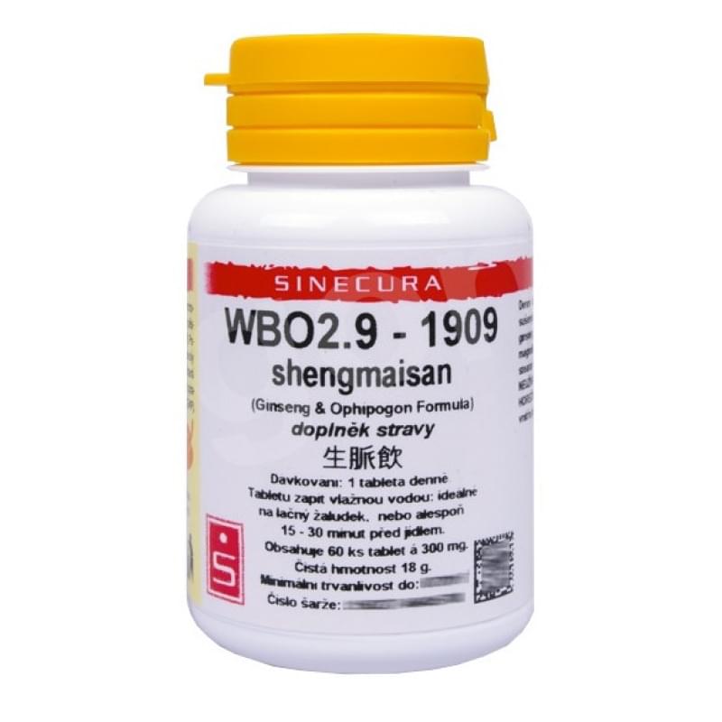 WBO 2.9 (Shegmaisan) WBO 2.9 (Shegmaisan)