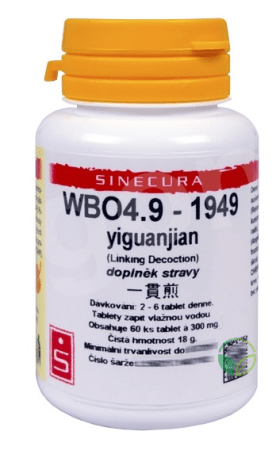 WBO 4.9 (yiguanjian)