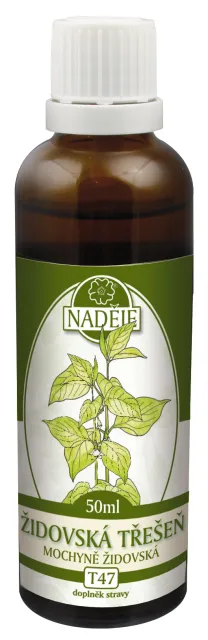 Židovská třešeň (T47)