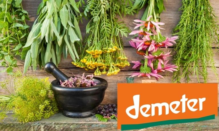 Demeter-byliny-logo Demeter-byliny-logo